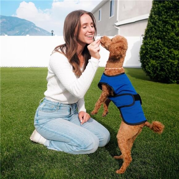 Dog Cooling Vest. Lightweight Jacket with Evaporative Cool Microfiber Technology - Picture 2 of 7